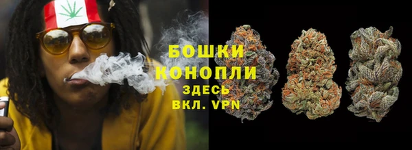 крисы Аркадак
