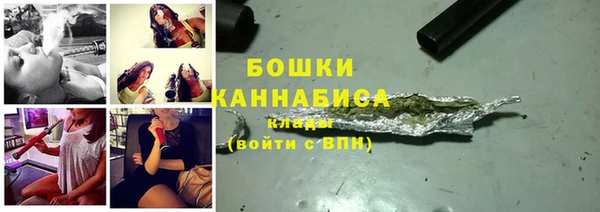 твердый Арсеньев