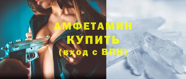 твердый Арсеньев