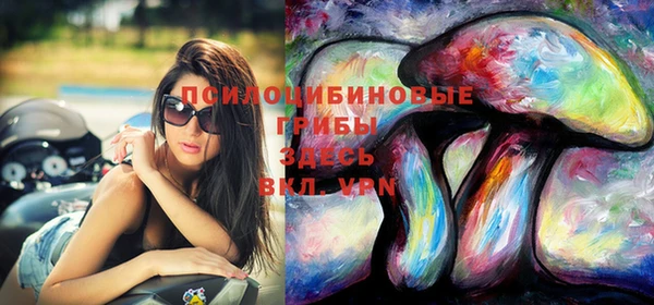 крисы Аркадак