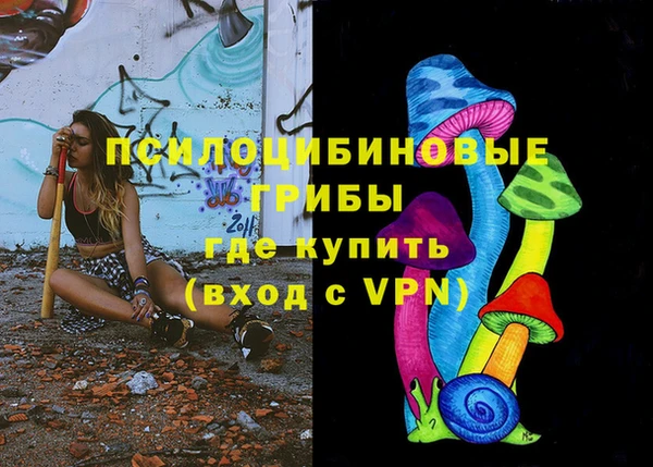 крисы Аркадак