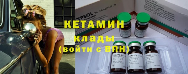 крисы Аркадак